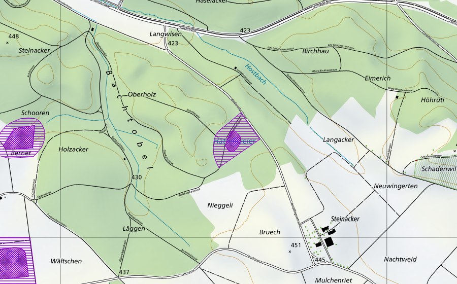 swisstopo national map showing the protected perimeter of Hätteliweiher Oberholz (Amphibian spawning site)