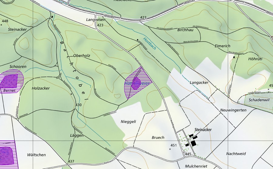 Carte nationale swisstopo avec le périmètre protégé de Hätteliweiher Oberholz (Site de reproduction de batraciens)
