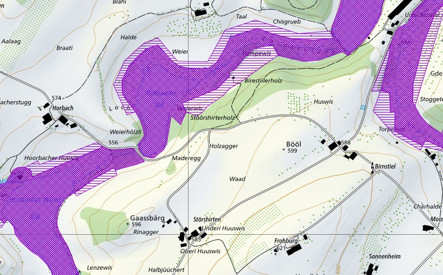 Carta nazionale swisstopo con il perimetro protetto di Hauptwiler Weiher (Sito di riproduzione di anfibi)