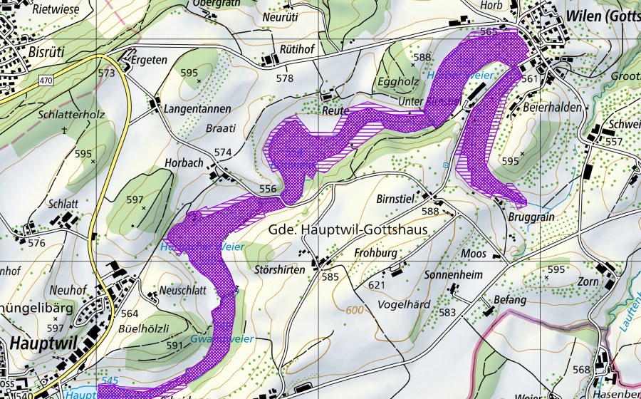 Carta nazionale swisstopo con il perimetro protetto di Hauptwiler Weiher (Sito di riproduzione di anfibi)