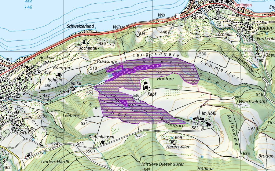 Landeskarte swisstopo mit dem Schutzperimeter von Heeristobel (Amphibienlaichgebiet)