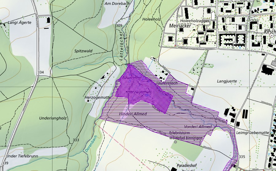 Landeskarte swisstopo mit dem Schutzperimeter von Herzogenmatt (Amphibienlaichgebiet)