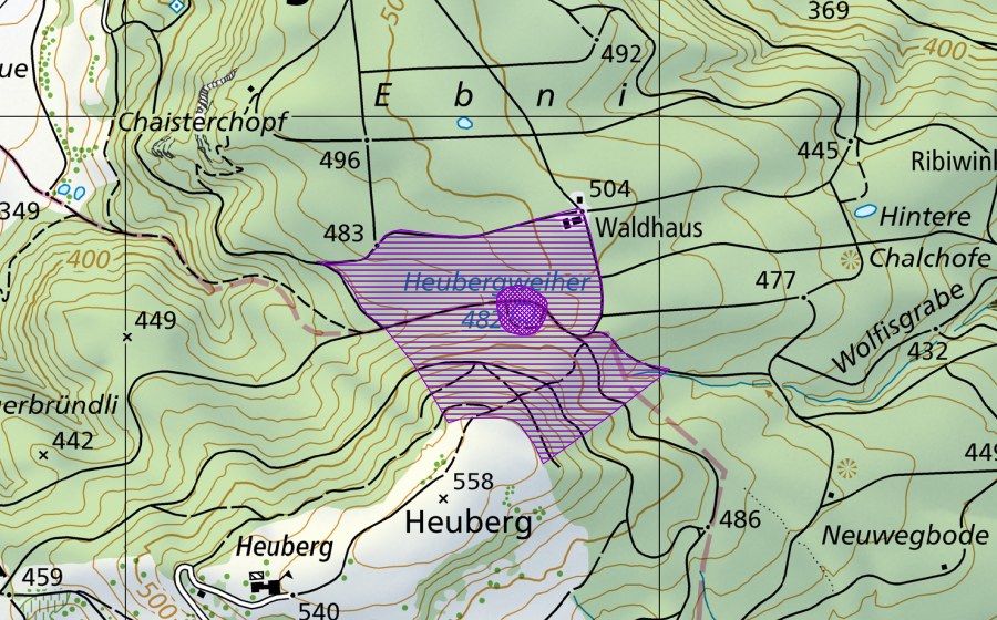 Landeskarte swisstopo mit dem Schutzperimeter von Heuberg (Amphibienlaichgebiet)
