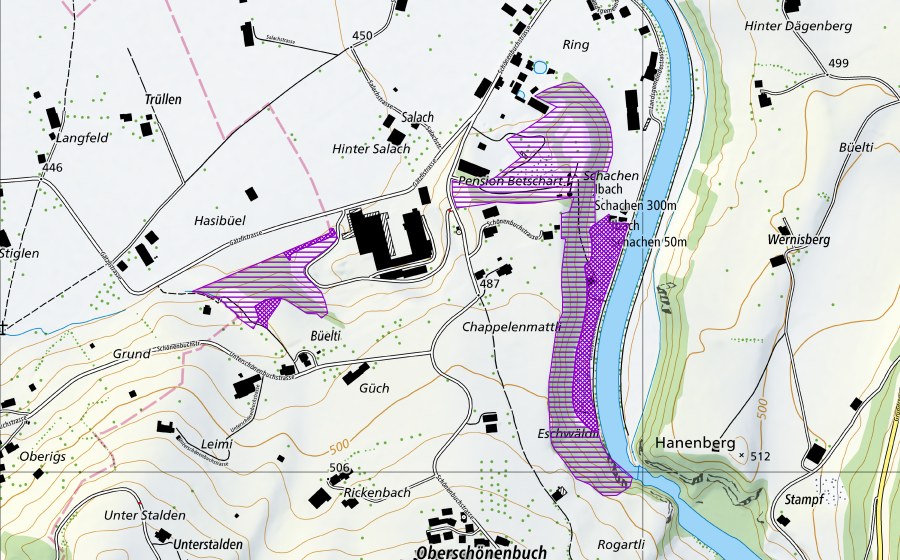 swisstopo national map showing the protected perimeter of Hinter Ibach (Amphibian spawning site)