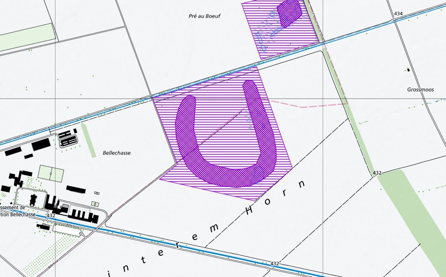 swisstopo national map showing the protected perimeter of Hinterem Horn (Amphibian spawning site)
