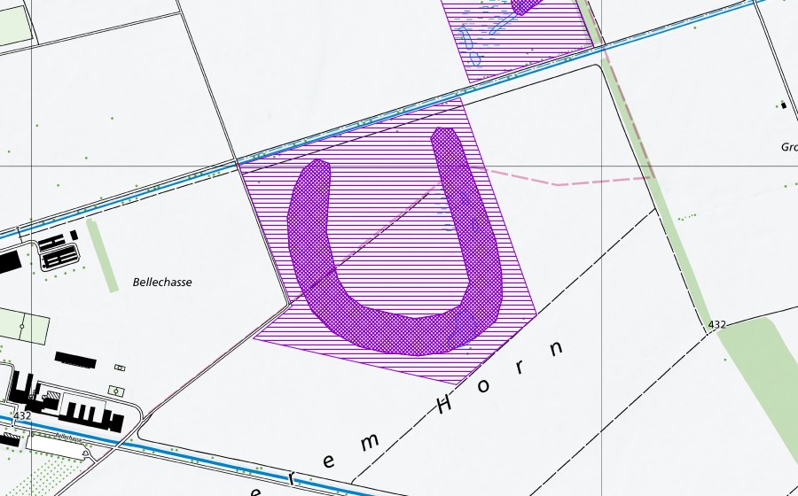 Landeskarte swisstopo mit dem Schutzperimeter von Hinterem Horn (Amphibienlaichgebiet)