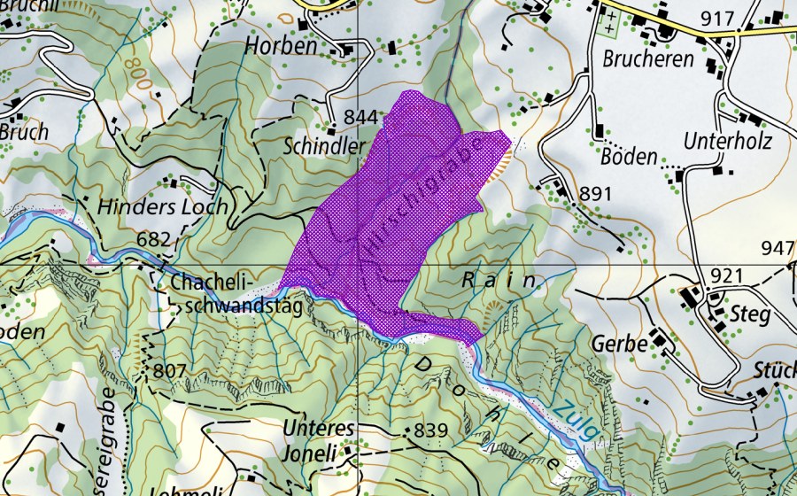 swisstopo national map showing the protected perimeter of Hirschigraben (Amphibian spawning site)
