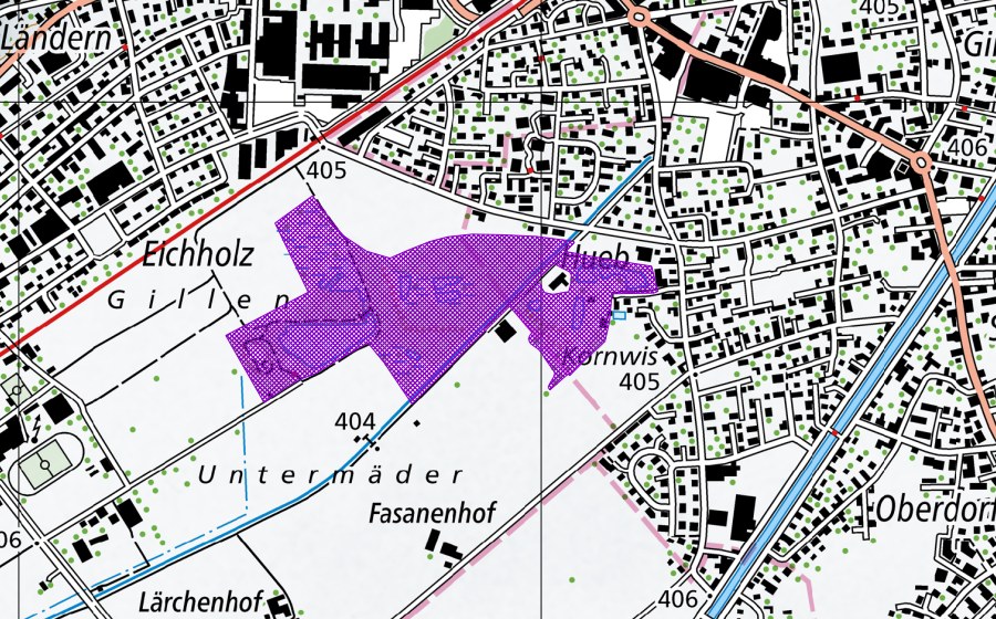 Landeskarte swisstopo mit dem Schutzperimeter von Höchstern (Amphibienlaichgebiet)