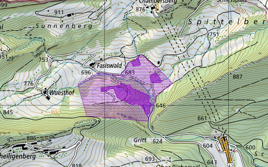 Carte nationale swisstopo avec le périmètre protégé de Höchweidli (Site de reproduction de batraciens)