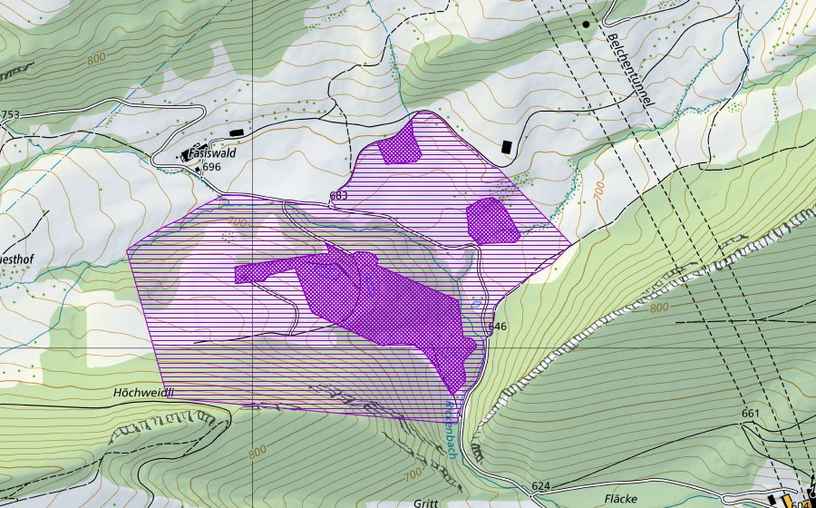 Landeskarte swisstopo mit dem Schutzperimeter von Höchweidli (Amphibienlaichgebiet)