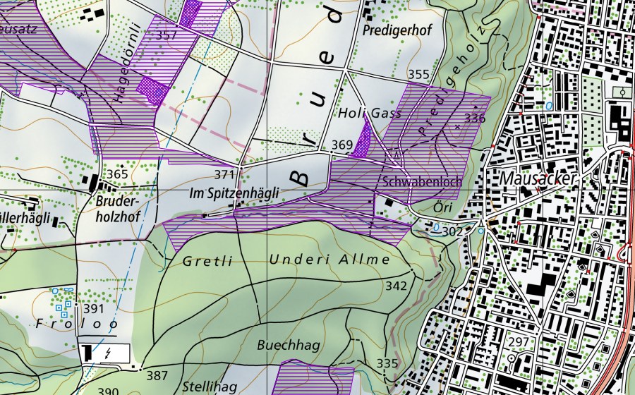 Landeskarte swisstopo mit dem Schutzperimeter von Holi Gass (Amphibienlaichgebiet)