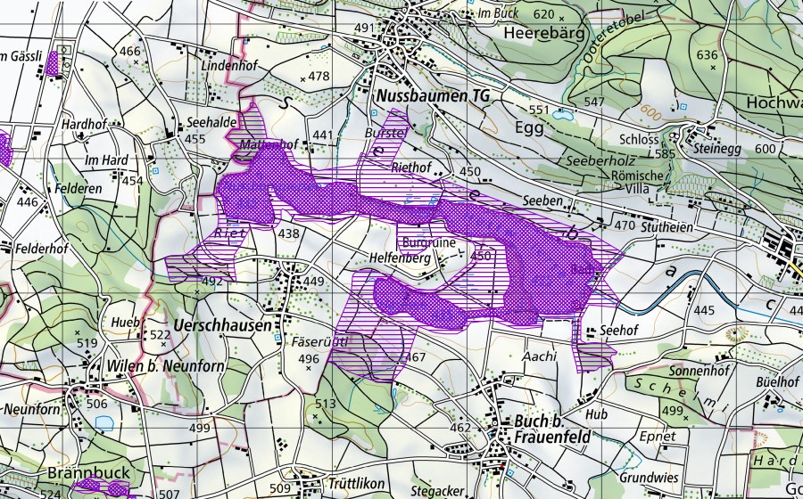 Landeskarte swisstopo mit dem Schutzperimeter von Hüttwiler Seen (Amphibienlaichgebiet)