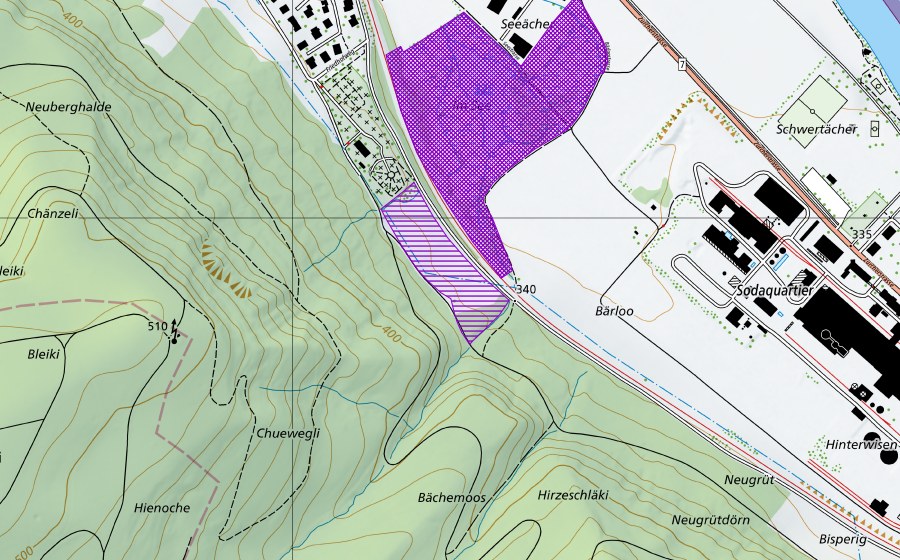 Landeskarte swisstopo mit dem Schutzperimeter von Im See (Amphibienlaichgebiet)