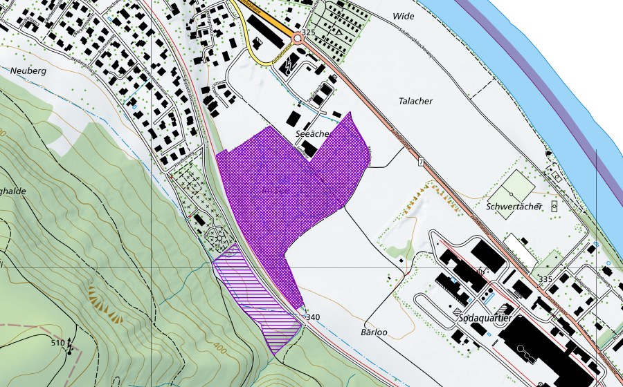 Landeskarte swisstopo mit dem Schutzperimeter von Im See (Amphibienlaichgebiet)