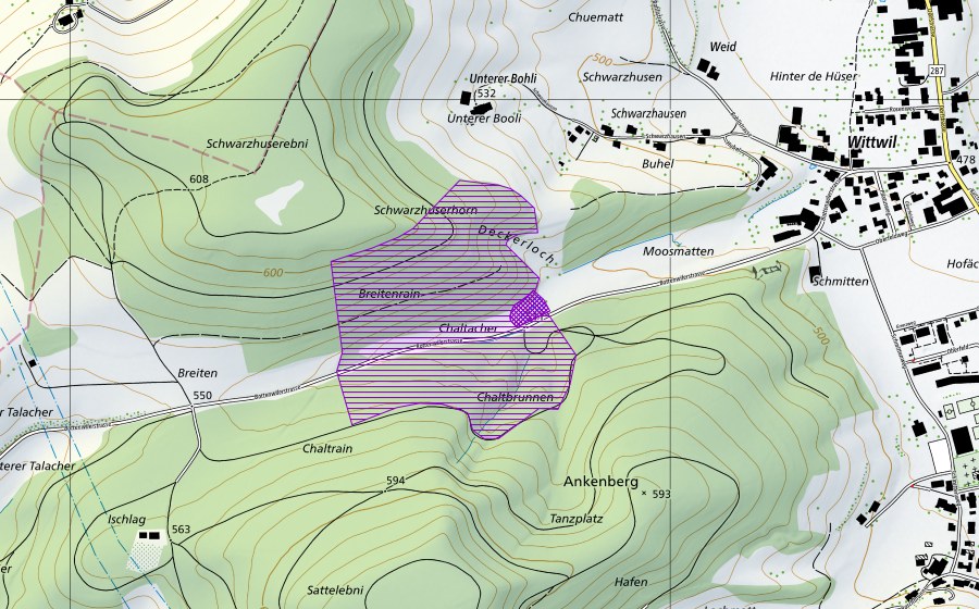 Carte nationale swisstopo avec le périmètre protégé de Kaltacker (Site de reproduction de batraciens)