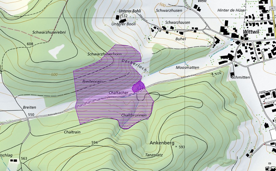 swisstopo national map showing the protected perimeter of Kaltacker (Amphibian spawning site)