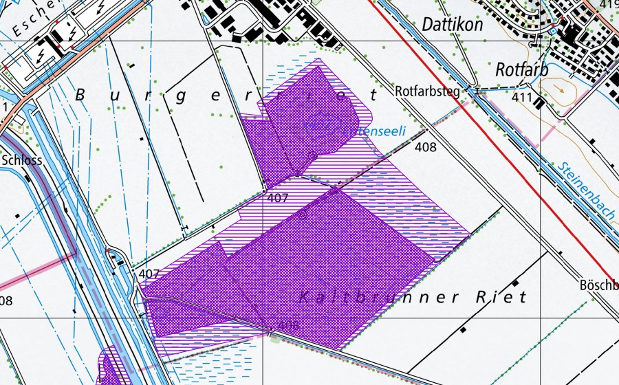 Carta nazionale swisstopo con il perimetro protetto di Kaltbrunnerriet (Sito di riproduzione di anfibi)