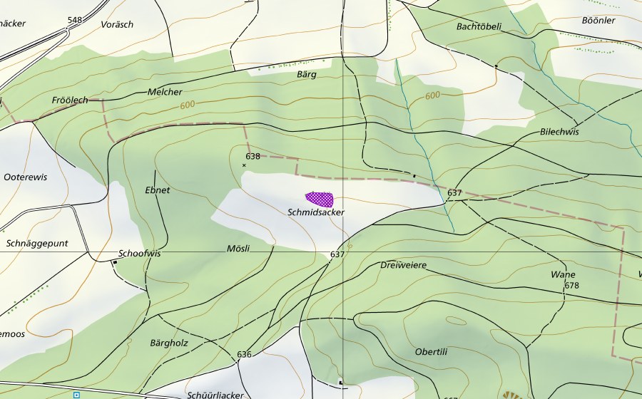 swisstopo national map showing the protected perimeter of Kiesgrube Bärg (Amphibian spawning site)