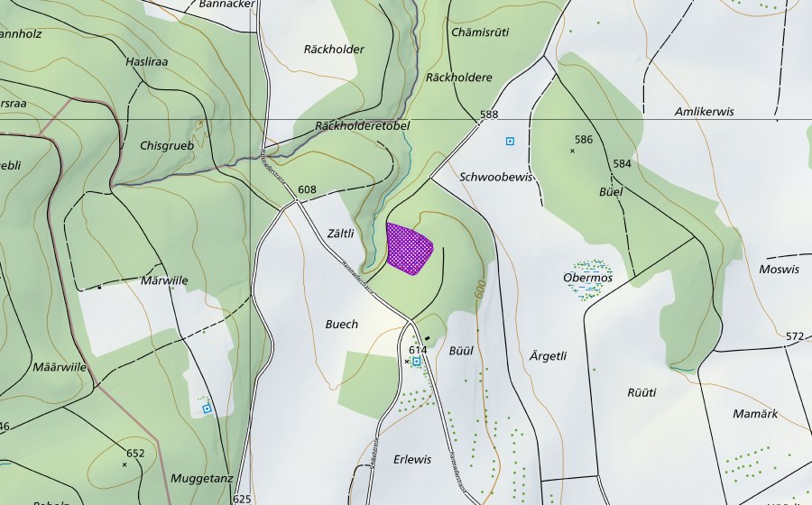 swisstopo national map showing the protected perimeter of Kiesgrube Buech (Amphibian spawning site)