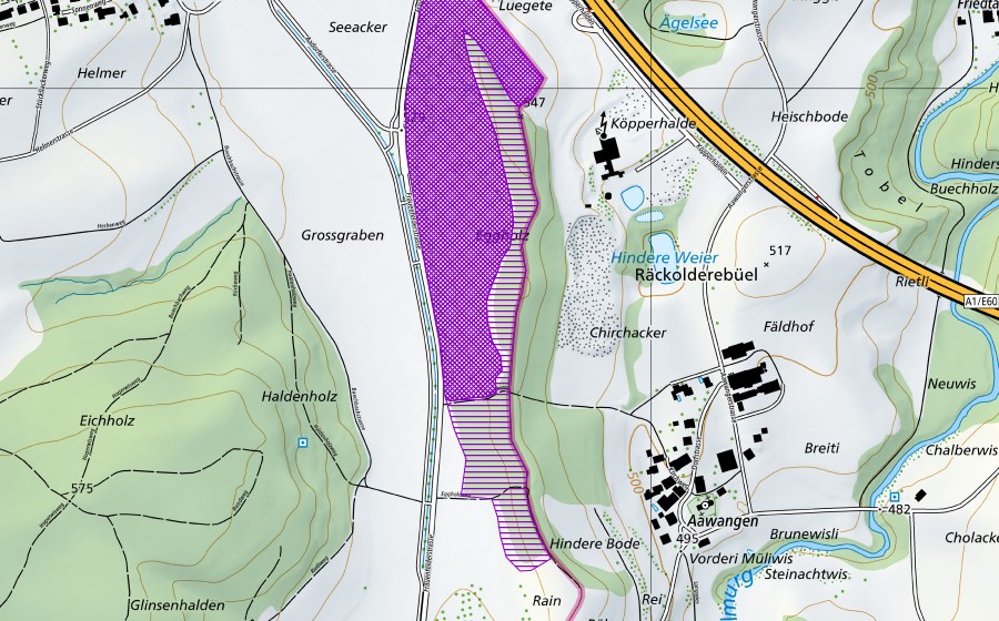 Landeskarte swisstopo mit dem Schutzperimeter von Kiesgrube Eggholz (Amphibienlaichgebiet)