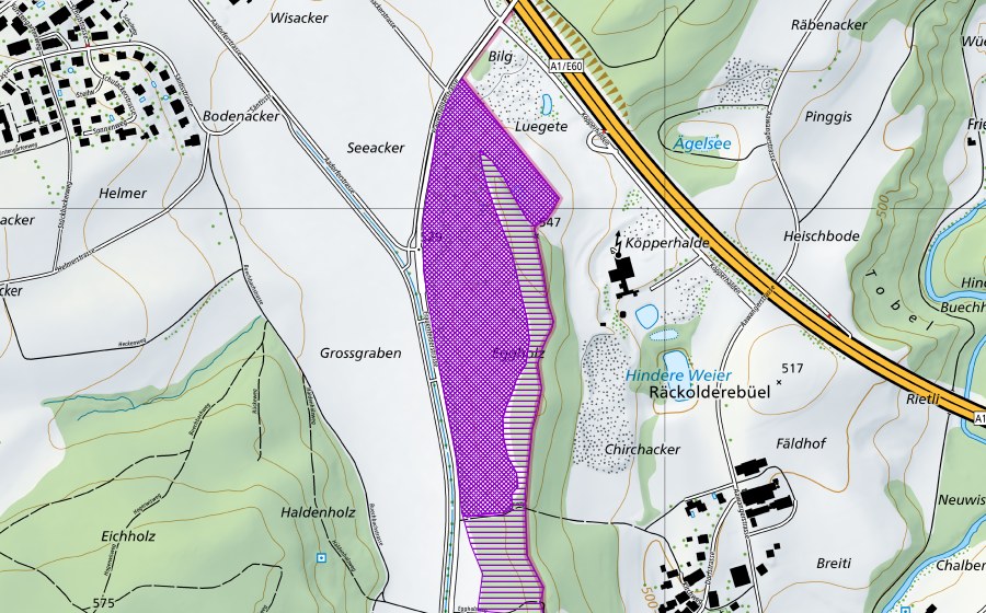 Carte nationale swisstopo avec le périmètre protégé de Kiesgrube Eggholz (Site de reproduction de batraciens)