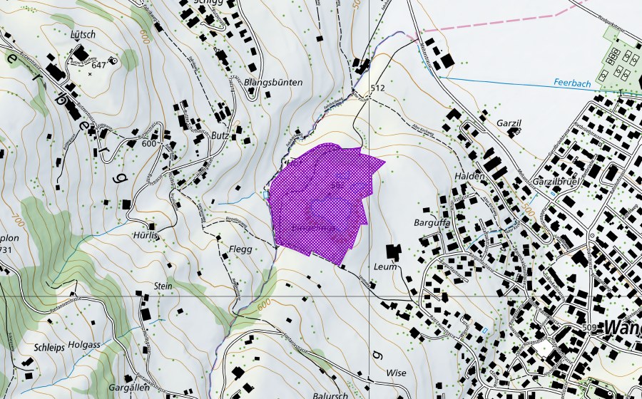 swisstopo national map showing the protected perimeter of Kiesgrube Feerbach (Amphibian spawning site)