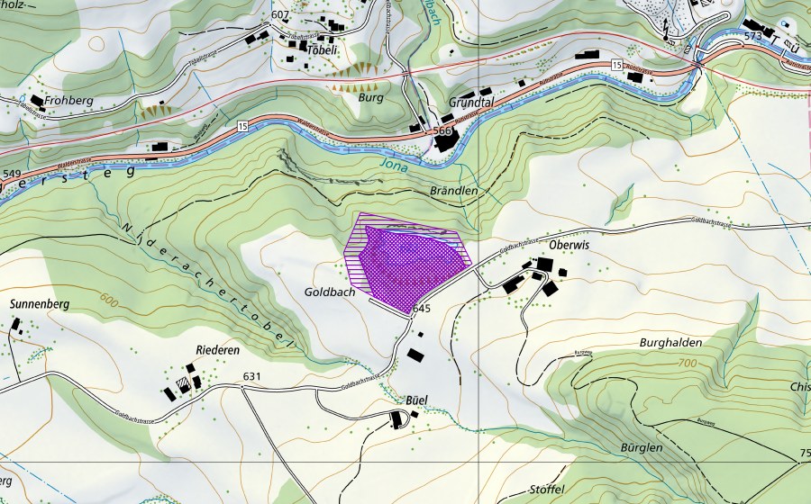 Carta nazionale swisstopo con il perimetro protetto di Kiesgrube Goldbach (Sito di riproduzione di anfibi)