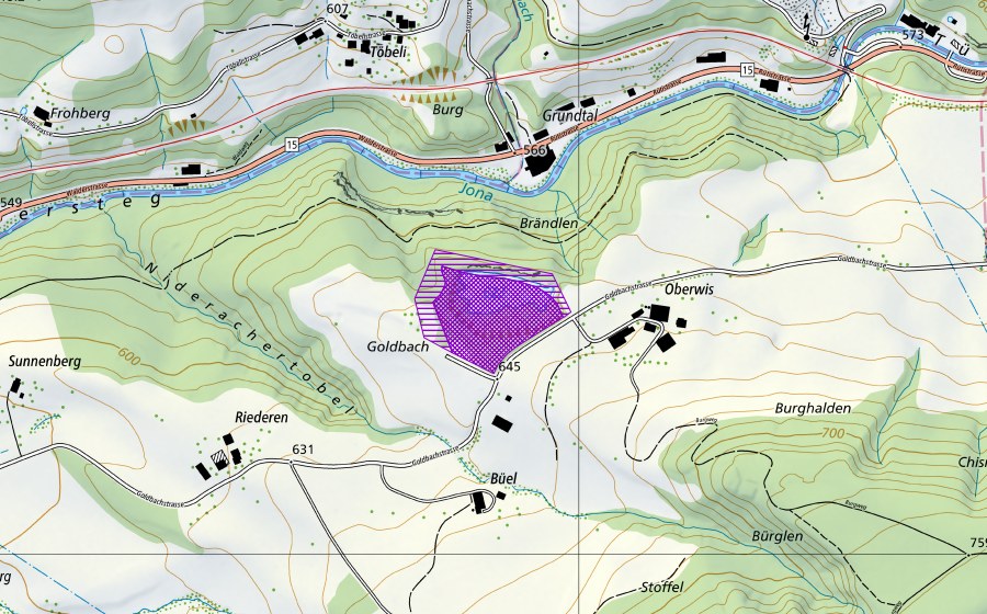 swisstopo national map showing the protected perimeter of Kiesgrube Goldbach (Amphibian spawning site)