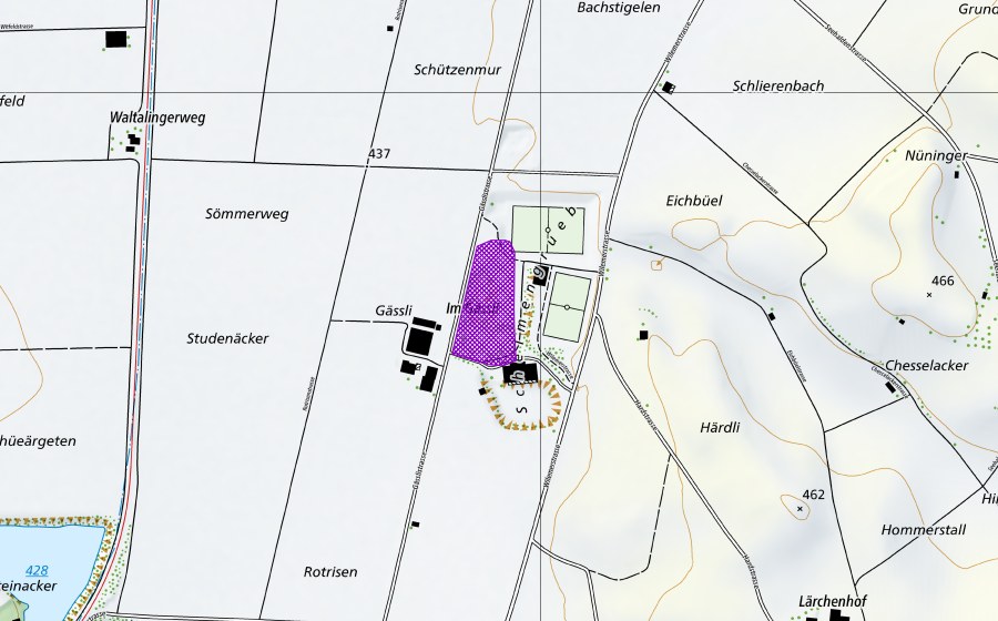 swisstopo national map showing the protected perimeter of Kiesgrube Härdli (Amphibian spawning site)