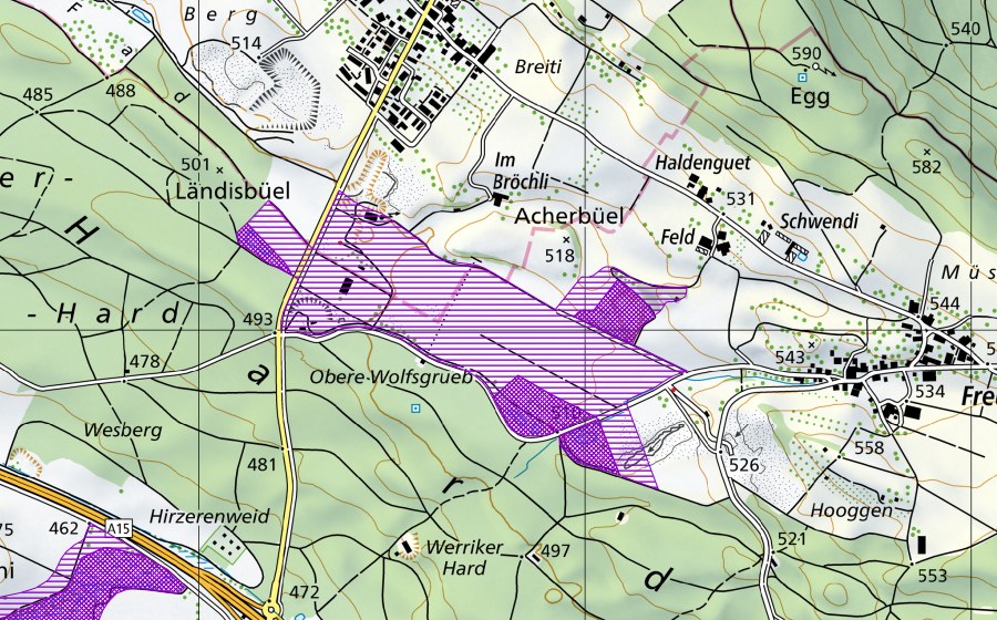 Landeskarte swisstopo mit dem Schutzperimeter von Kiesgrube Im Türli (Amphibienlaichgebiet)