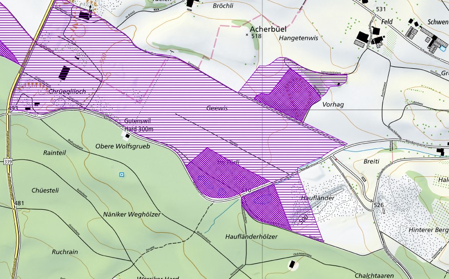 swisstopo national map showing the protected perimeter of Kiesgrube Im Türli (Amphibian spawning site)
