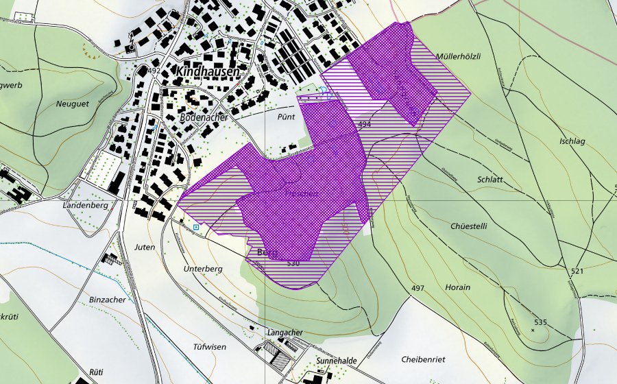Carte nationale swisstopo avec le périmètre protégé de Kiesgrube Kindhausen (Blutzwies) (Site de reproduction de batraciens)