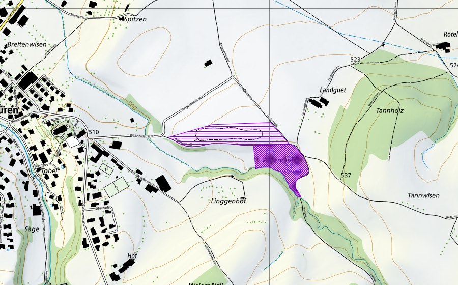 swisstopo national map showing the protected perimeter of Kiesgrube Landguet (Amphibian spawning site)