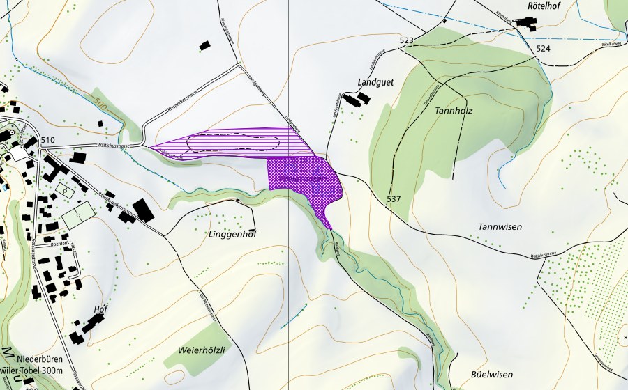 Landeskarte swisstopo mit dem Schutzperimeter von Kiesgrube Landguet (Amphibienlaichgebiet)