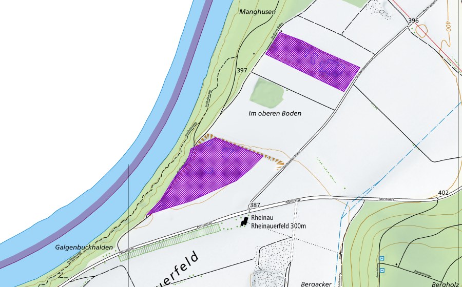 Carte nationale swisstopo avec le périmètre protégé de Kiesgrube Rhinauer Feld und Oberboden (Site de reproduction de batraciens)
