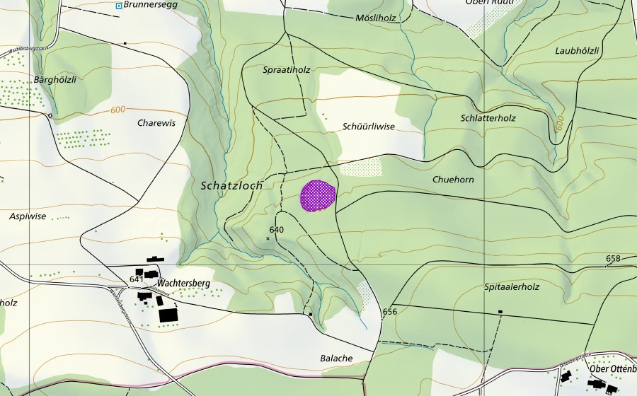 swisstopo national map showing the protected perimeter of Kiesgrube Schürliwiesen (Amphibian spawning site)