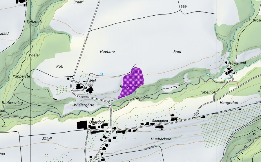 swisstopo national map showing the protected perimeter of Kiesgrube Wiel (Amphibian spawning site)