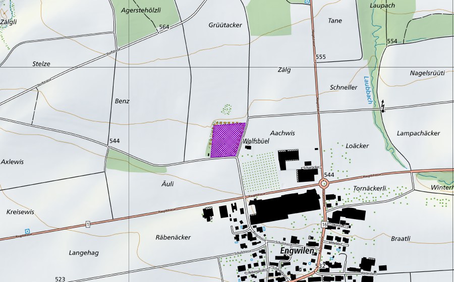 swisstopo national map showing the protected perimeter of Kiesgrube Wolfsbüel (Amphibian spawning site)