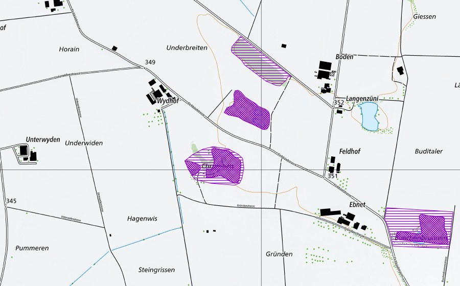Landeskarte swisstopo mit dem Schutzperimeter von Kiesgruben Ebnet (Amphibienlaichgebiet)