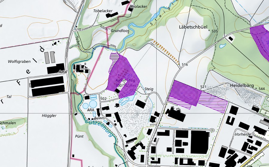 Landeskarte swisstopo mit dem Schutzperimeter von Kiesgruben Steig (Amphibienlaichgebiet)