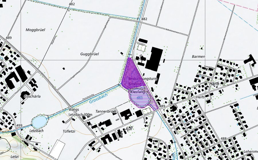 swisstopo national map showing the protected perimeter of Kiessammler Vilters (Amphibian spawning site)