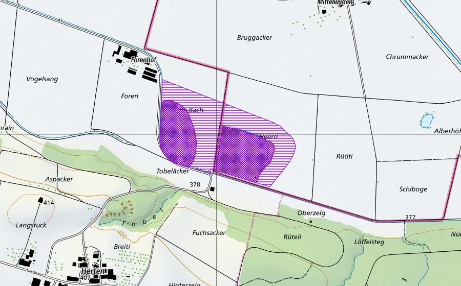 Landeskarte swisstopo mit dem Schutzperimeter von Kiesweiher Weidacker (Amphibienlaichgebiet)