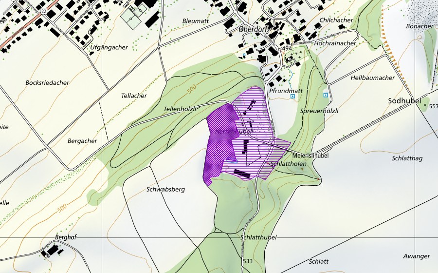 swisstopo national map showing the protected perimeter of Kieswerk Schopsberg (Amphibian spawning site)