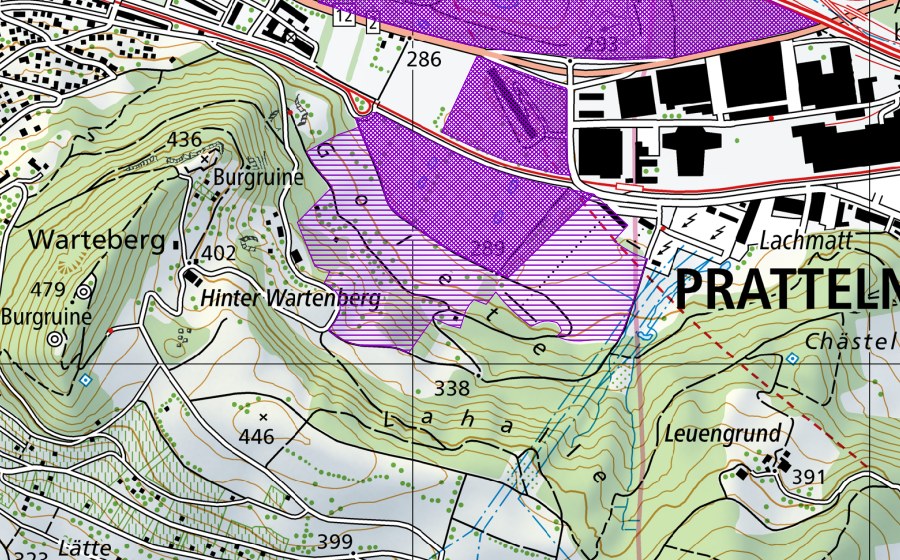 Landeskarte swisstopo mit dem Schutzperimeter von Klingenthal-Lachmatt (Amphibienlaichgebiet)