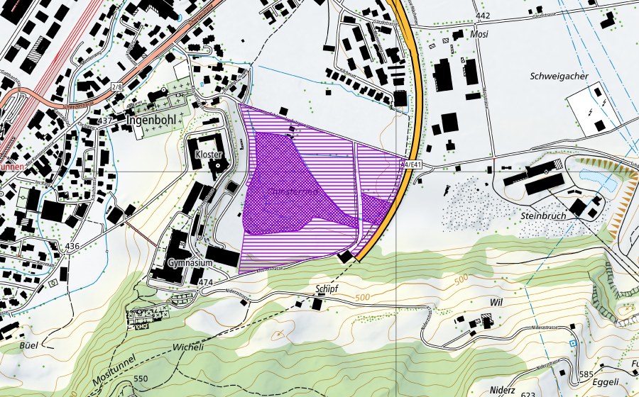 swisstopo national map showing the protected perimeter of Klosterried Ingenbohl (Amphibian spawning site)