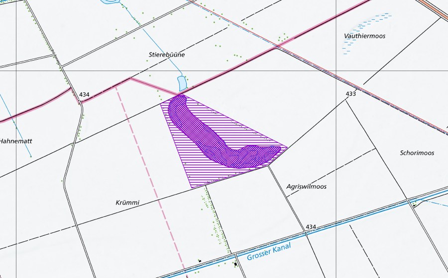 Landeskarte swisstopo mit dem Schutzperimeter von Krümmi (Amphibienlaichgebiet)