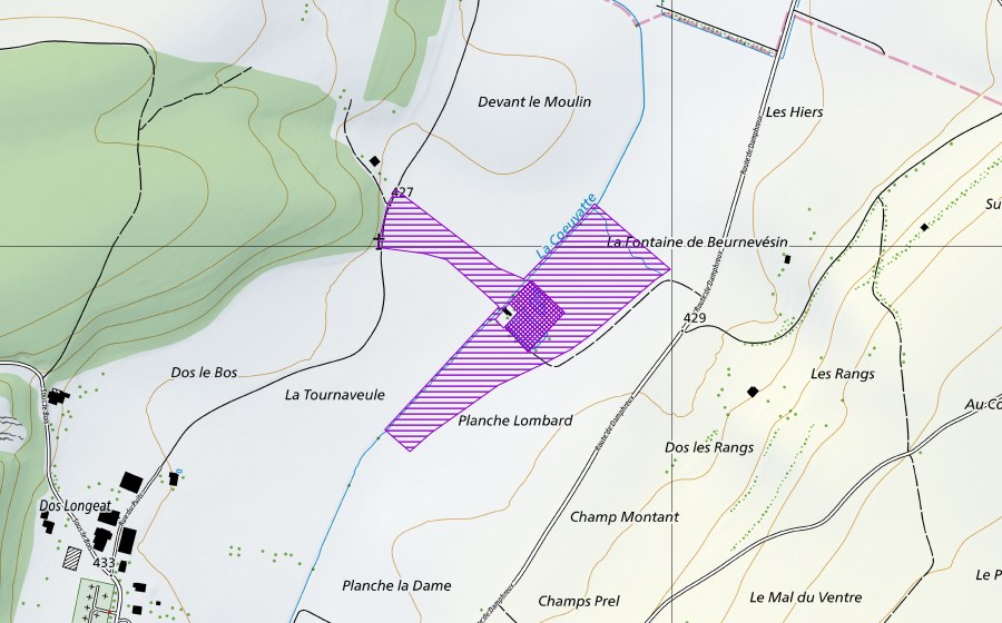 Landeskarte swisstopo mit dem Schutzperimeter von La Coeuvatte (Amphibienlaichgebiet)