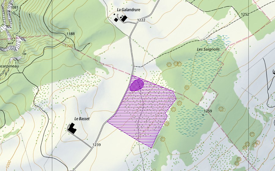 Landeskarte swisstopo mit dem Schutzperimeter von La Galandrure (Amphibienlaichgebiet)