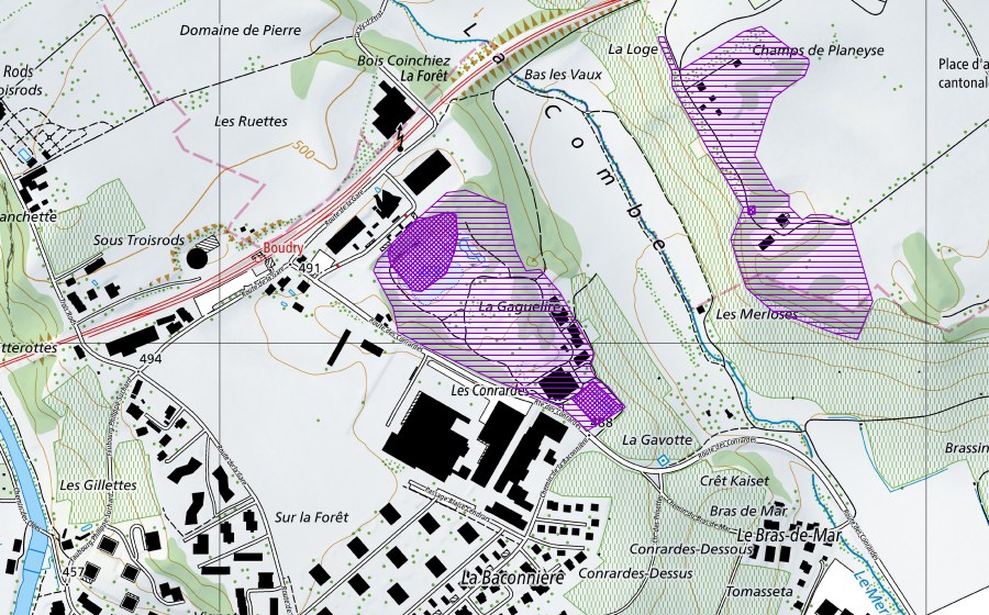 Carte nationale swisstopo avec le périmètre protégé de La Gare (Site de reproduction de batraciens)