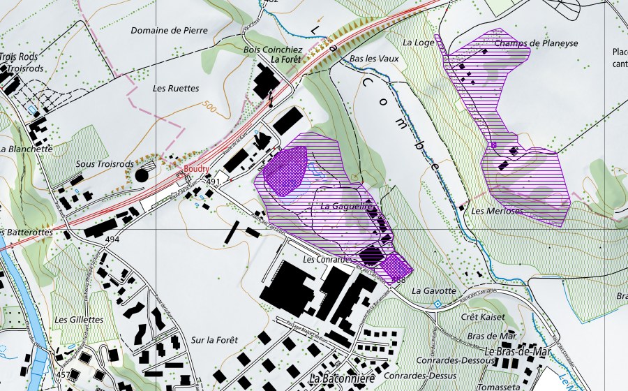 Landeskarte swisstopo mit dem Schutzperimeter von La Gare (Amphibienlaichgebiet)